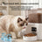 Smart Pet Feeder with 5L Food Hopper, 3L Water Tank, App Control and Optional Video