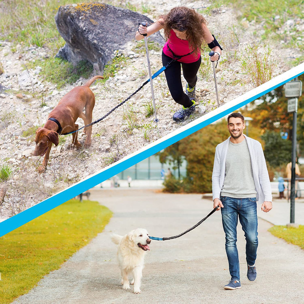 Hands-free running lead with waist belt, close-up detail view