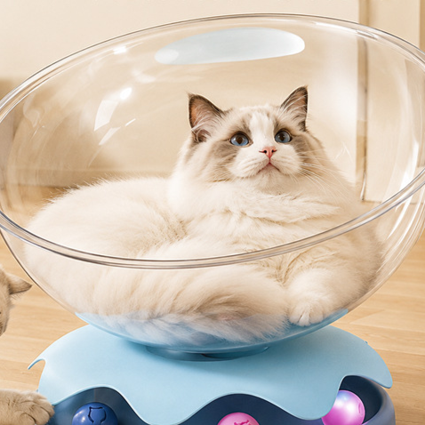 Clear capsule cat bed in transparent plastic with cream base, view 1