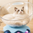 Clear capsule cat bed in transparent plastic with cream base, view 1