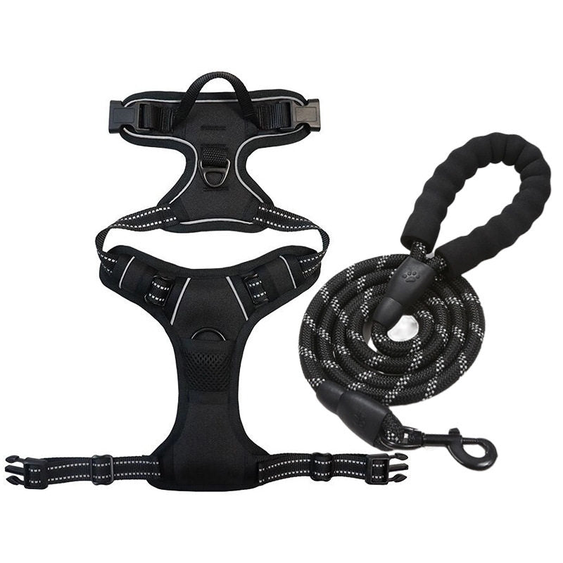 No-pull soft padded dog harness, ideal for everyday use