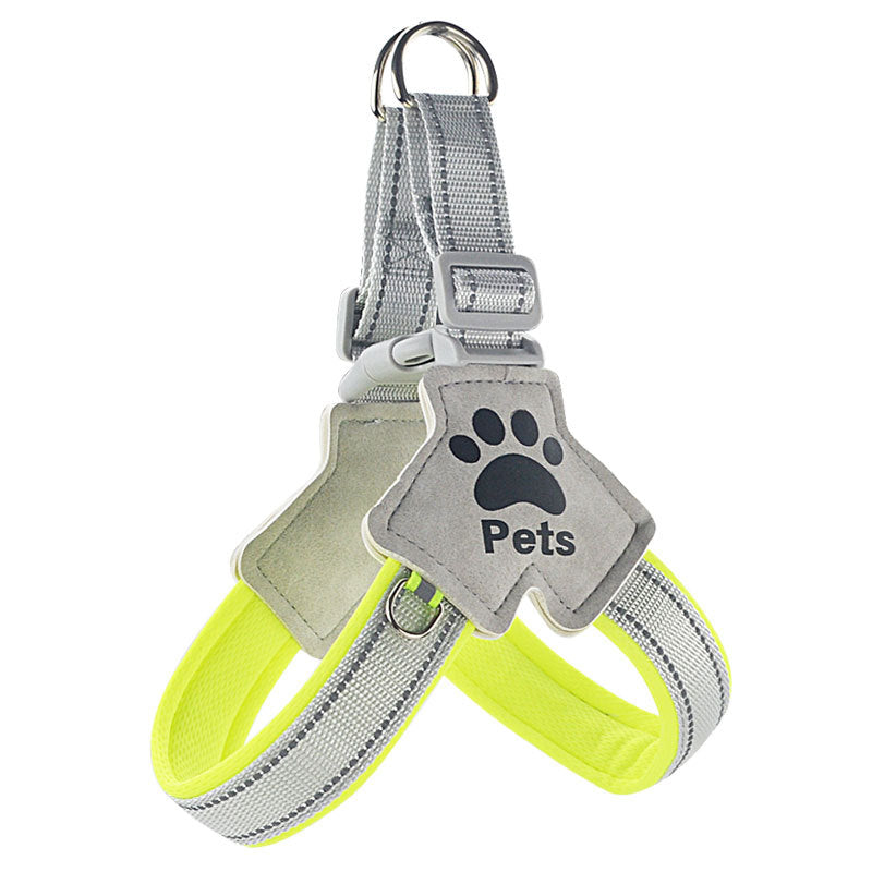Dog wearing a reflective polyester Y harness during training
