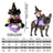 Funny pumpkin and spider Halloween costume for dogs and cats, image 16
