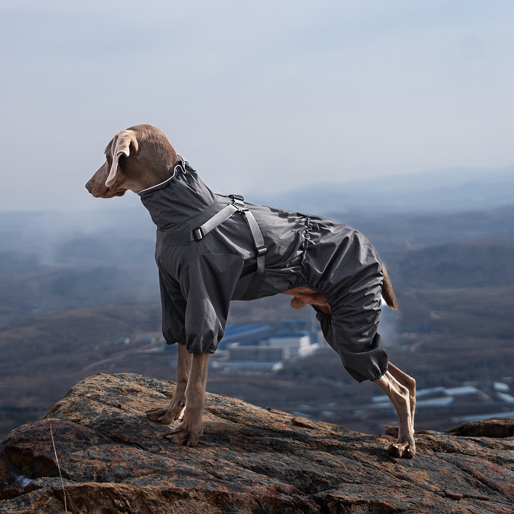 Waterproof four-leg dog raincoat with reflective strips in Orange, in a home setting