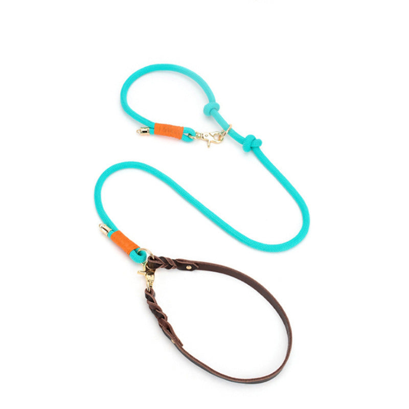 Stitched nylon dog collar with leather trim and metal buckle