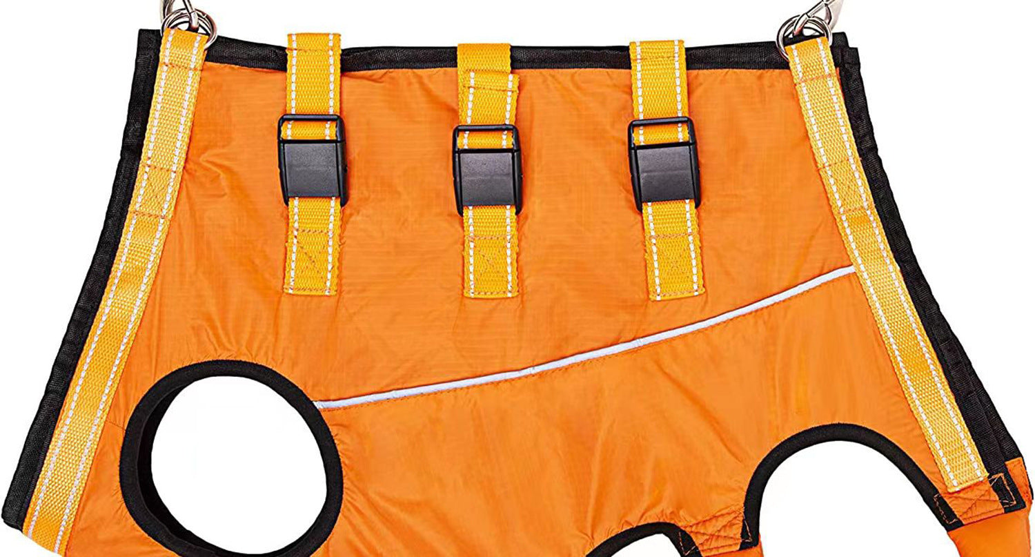Orange hind leg support sling with handle for senior dogs, product image 6