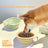 Portable Collapsible Silicone Pet Bowl 350ml with Carry Hook for Outdoor Use