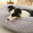 Long plush washable dog and cat bed with thick padding, photo 32
