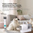 7-in-1 Pet Grooming Vacuum Kit with Clipper and UK Plug