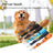 Nylon dog car seat belt lead in navy blue
