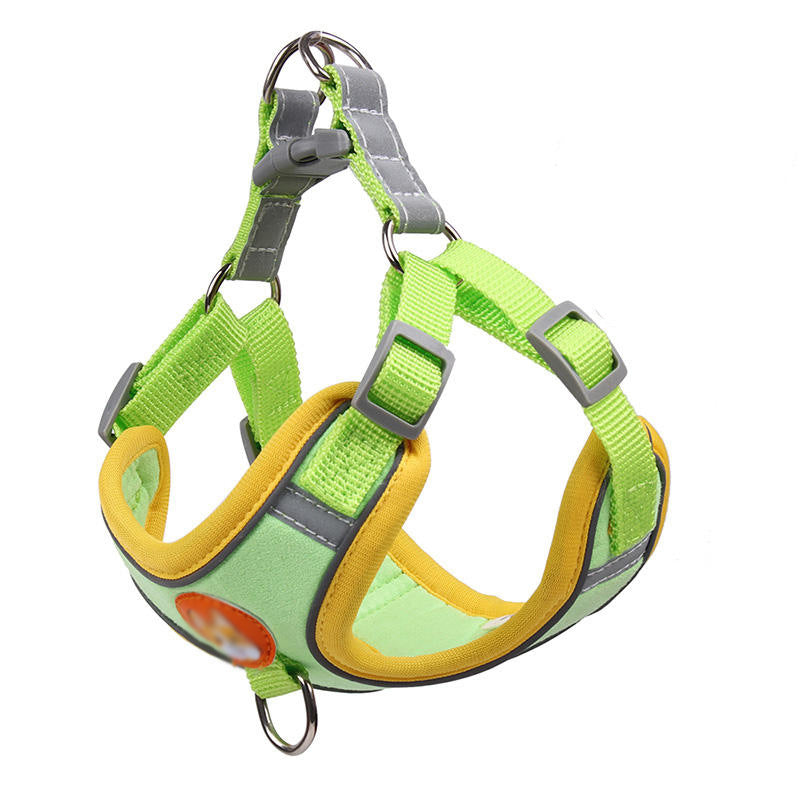Adjustable nylon vest dog harness with lead in Purple Harness Only, in a home setting