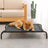 Elevated camping dog bed with steel frame and breathable mesh