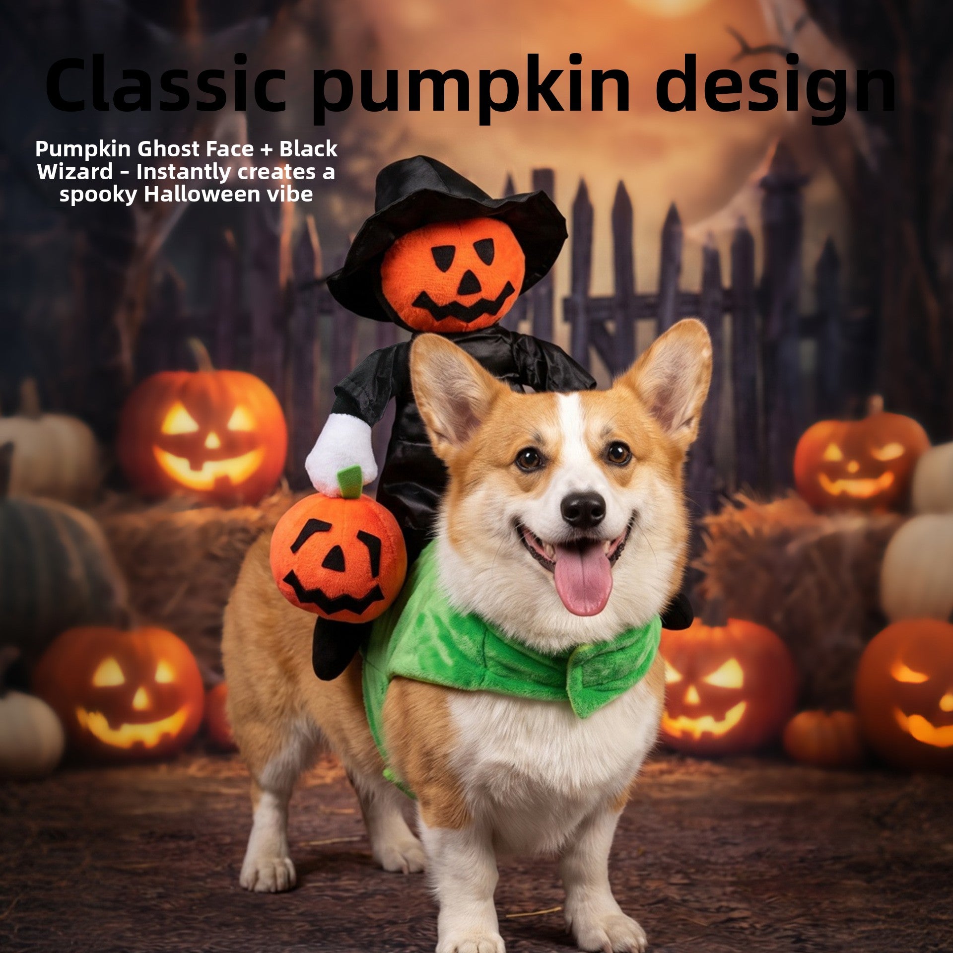 Halloween pumpkin knight rider costume for cats and dogs