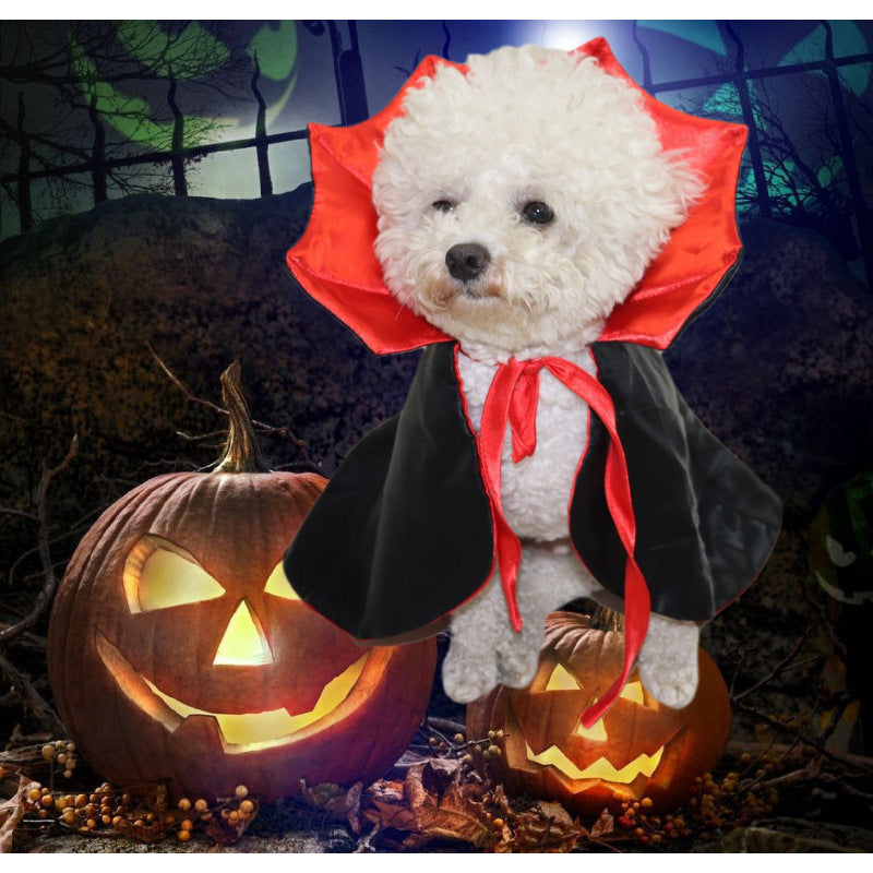 Selection of funny Halloween and Christmas costumes for pets