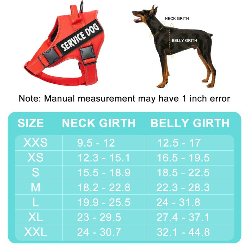 Reflective padded mesh vest dog harness in Purple, in a home setting