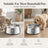 Automatic Pet Water Dispenser with Filtration and USB Power