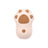 Pet spray grooming brush with water mist in Cream