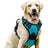 No-pull soft padded dog harness, ideal for everyday use