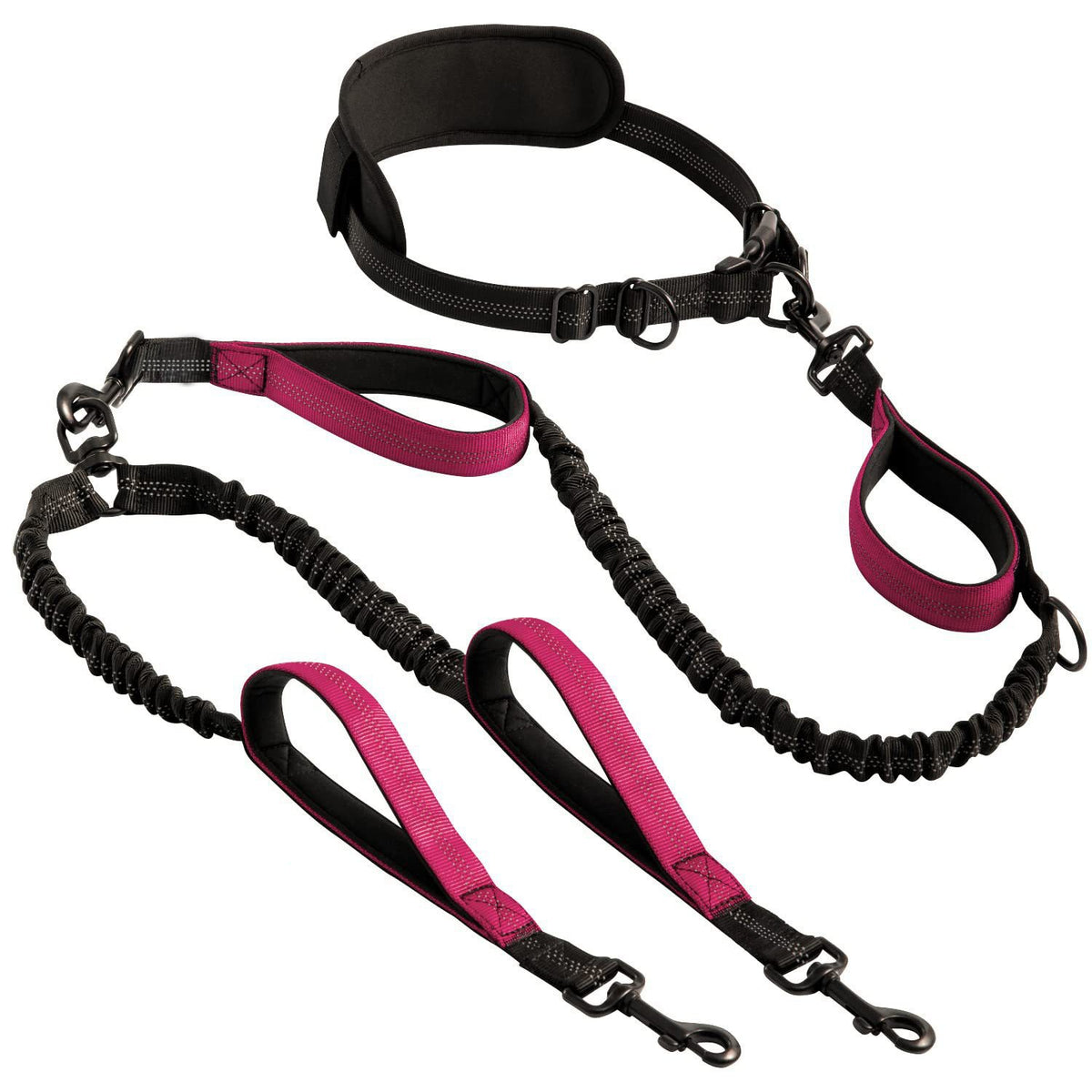 Hands-free double dog lead with bungee buffer, ideal for everyday use