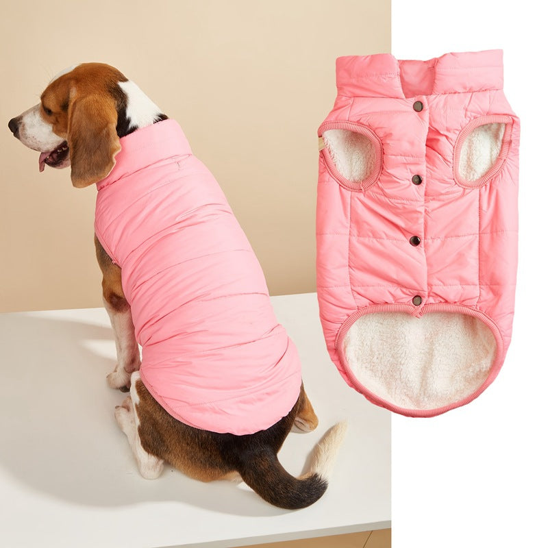 Small dog in a navy padded button up vest