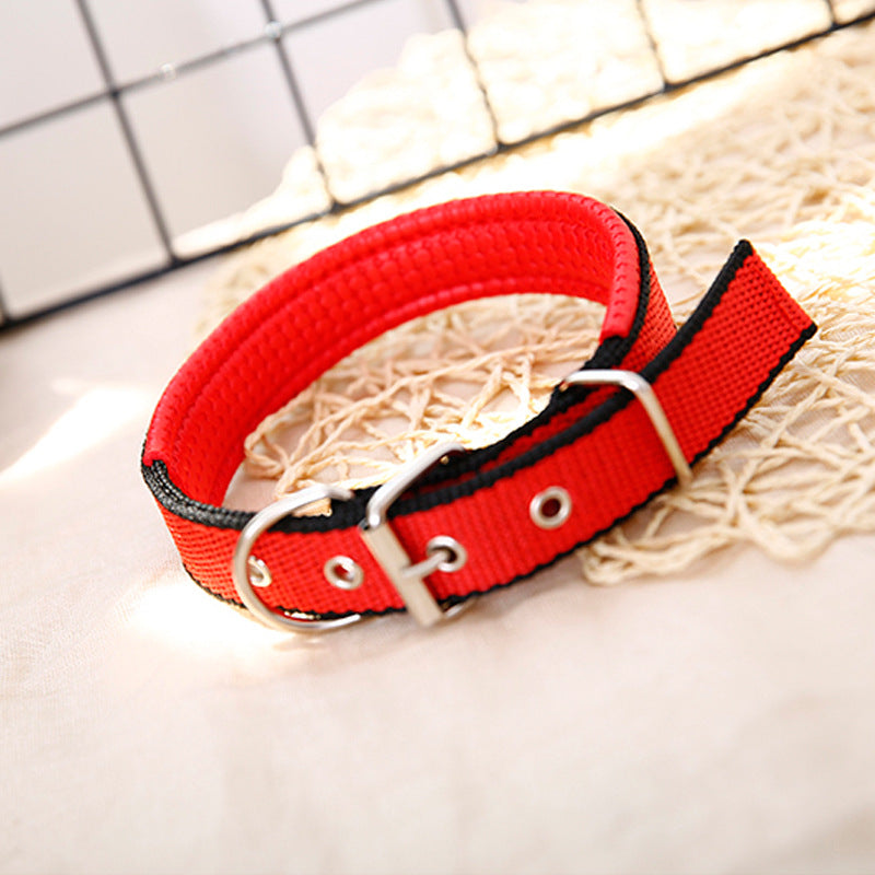 Foam padded adjustable dog collar, ideal for everyday use