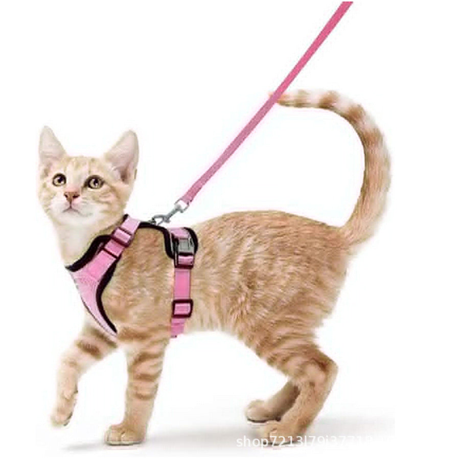 Mesh pet harness sets shown in eleven colours