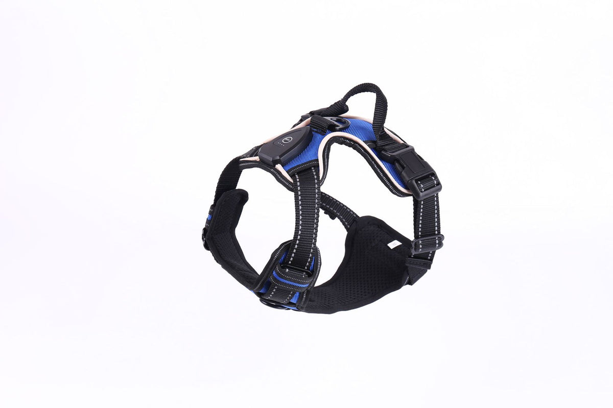 Light up fibre optic dog harness glowing at night, view 15