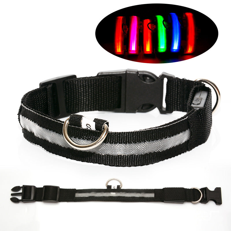 LED light up dog collar glowing green at night