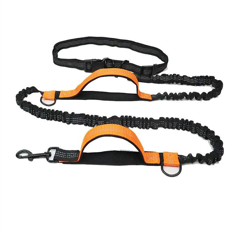 Hands-free dog running lead with waist belt in 5 colour options