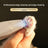 Pet Hair Trimmer with Built-In Vacuum, Quiet Cordless Grooming Kit