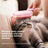 USB Electric Spray Grooming Comb for Dog and Cat Hair Care