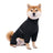 Four-leg waterproof raincoat for large dogs in Beige, close-up detail