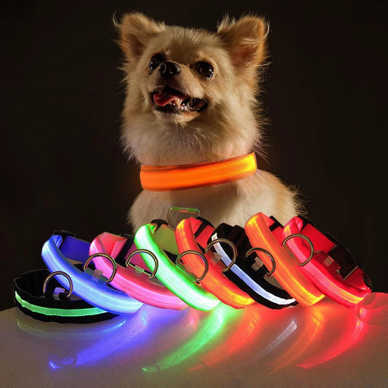 USB rechargeable LED collar for dogs and cats in Blue, front view