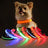 USB rechargeable LED collar for dogs and cats in Blue, front view