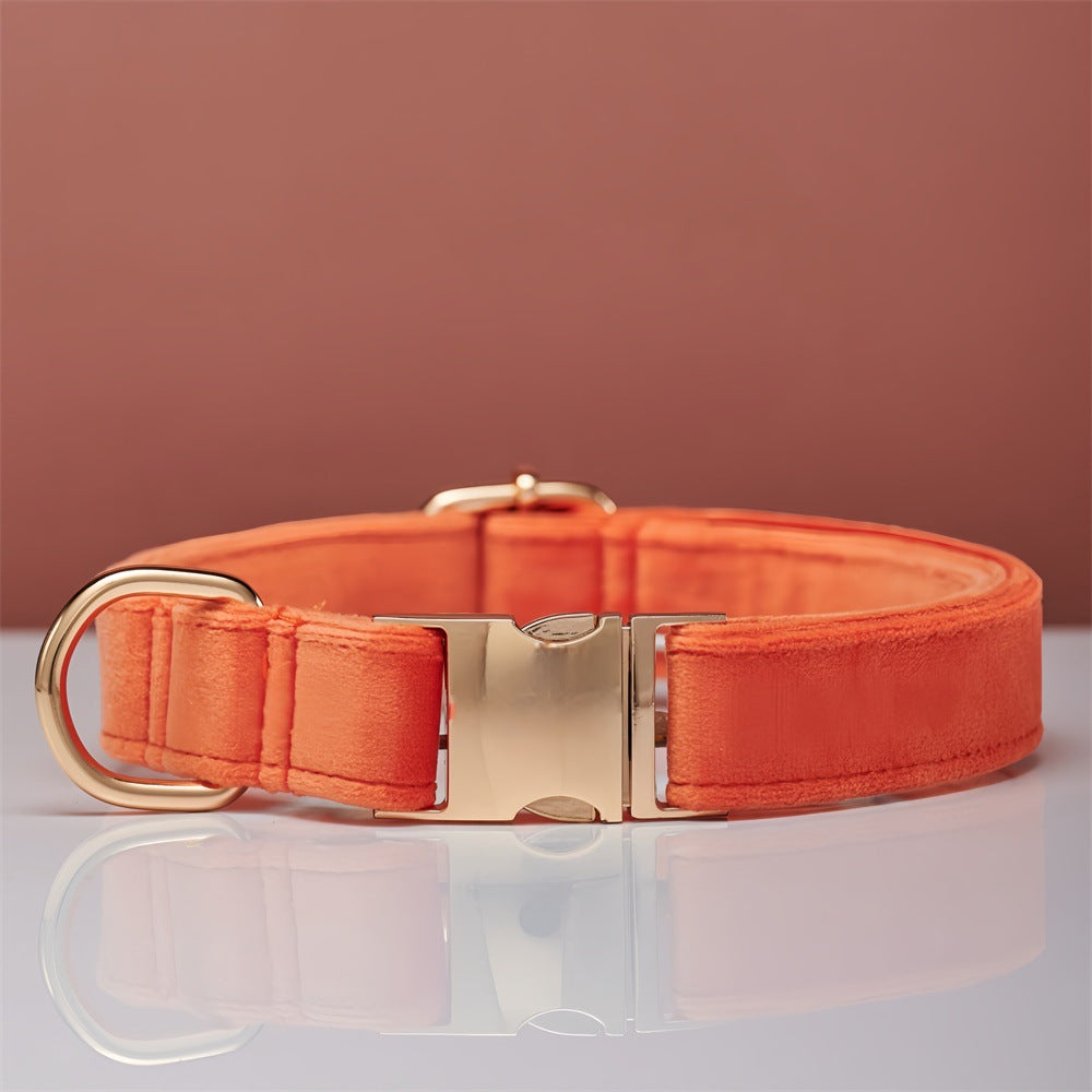 Soft velvet dog collar with metal buckle, ideal for everyday use
