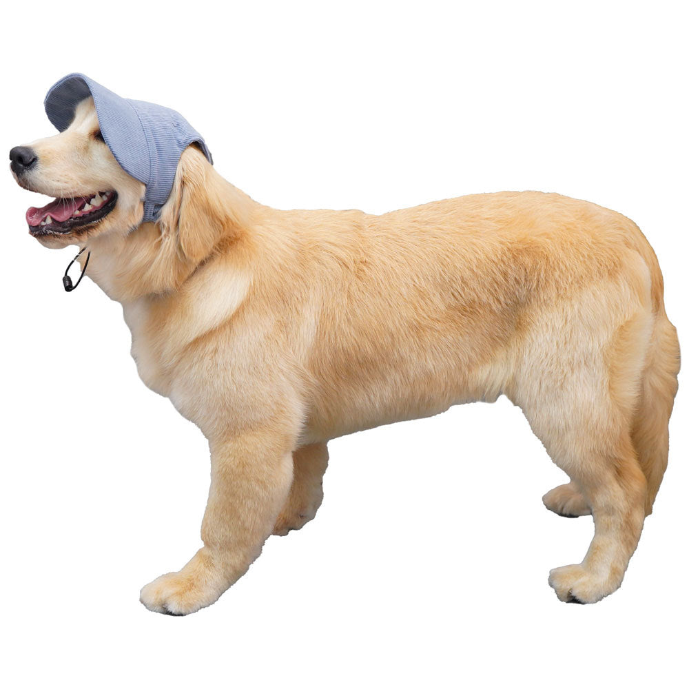 Dog baseball cap with ear openings in Yellow Bucket Hat, showing size and shape