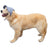 Dog baseball cap with ear openings in Yellow Bucket Hat, showing size and shape