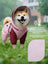 Four leg waterproof dog raincoat, available in 4 colours, sizes Small to 3XL, image 4
