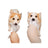 Playing card queen design crinkle dog toy on white background - photo 5