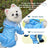 Four leg dog raincoats in five bright colours