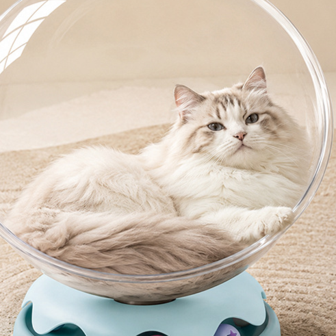 Clear capsule cat bed in transparent plastic with cream base, view 2