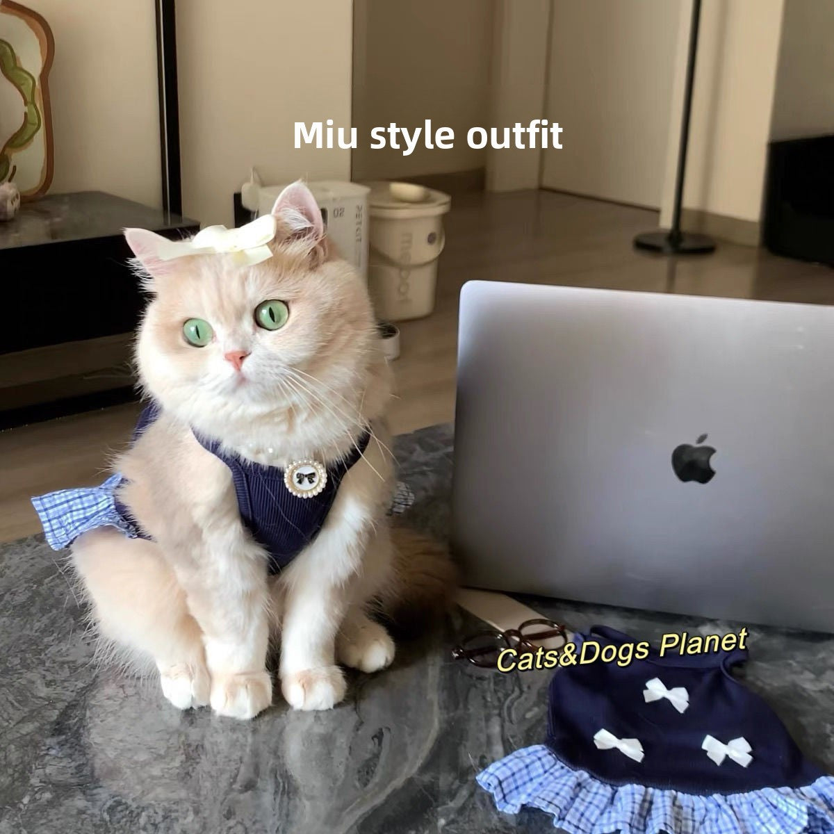 Blue bow strap summer dress for small pets for dogs and cats, image 2