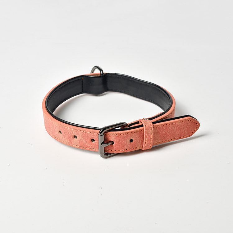 Matte finish dog collar in navy blue with metal buckle