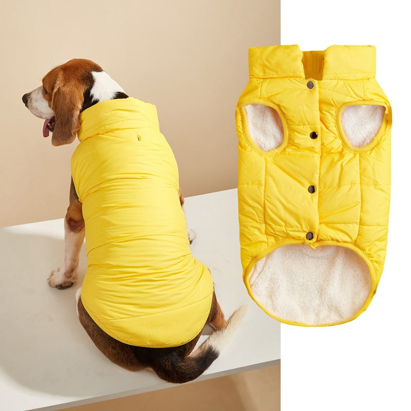 Small dog in a navy padded button up vest