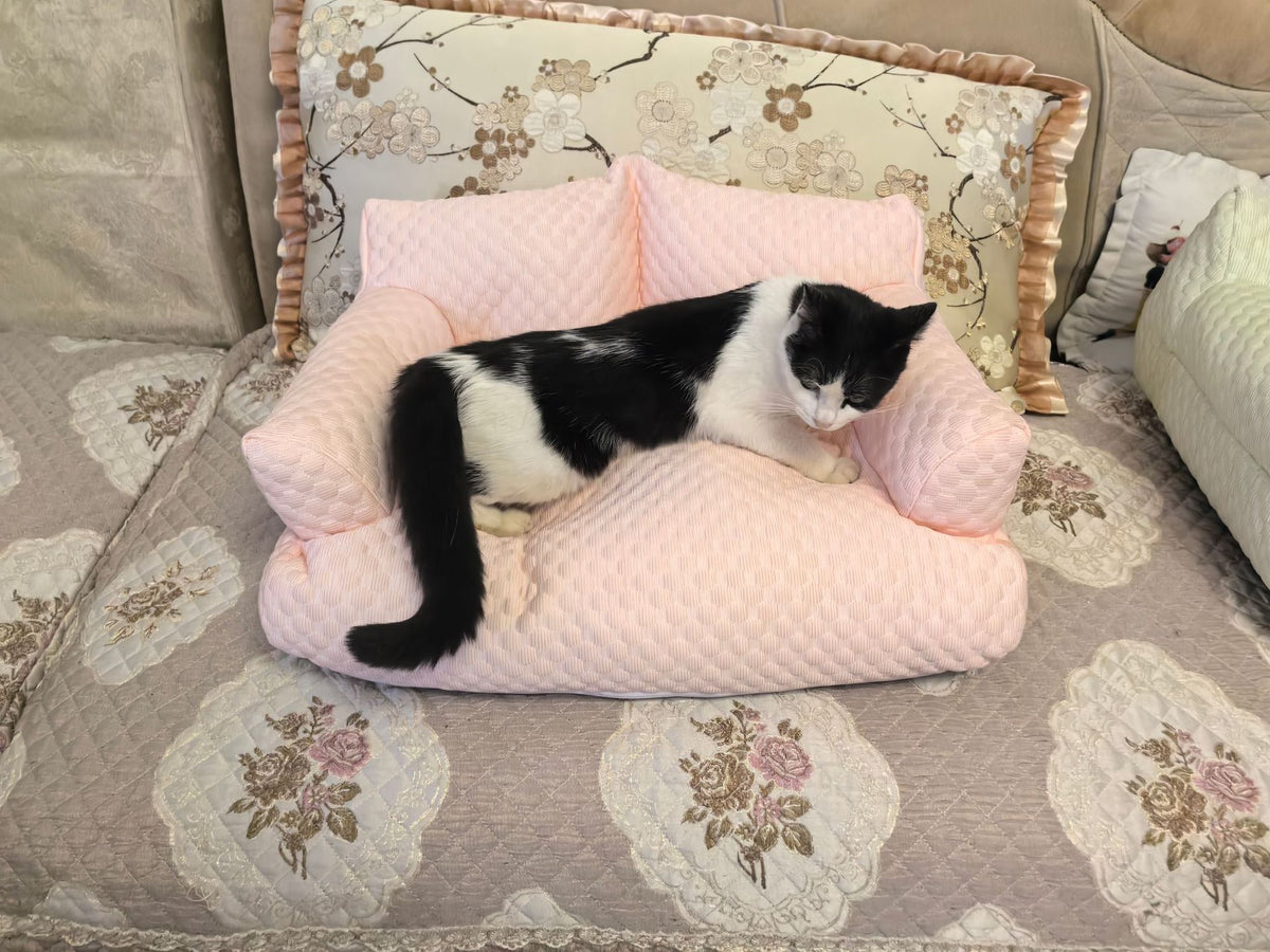 Breathable small dog bed with removable washable cover, additional product photo