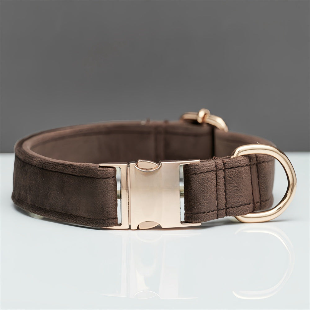 Soft velvet dog collar with metal buckle, main product photo
