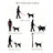 Thick nylon dog walking lead 238cm long, available from Pet Royale UK