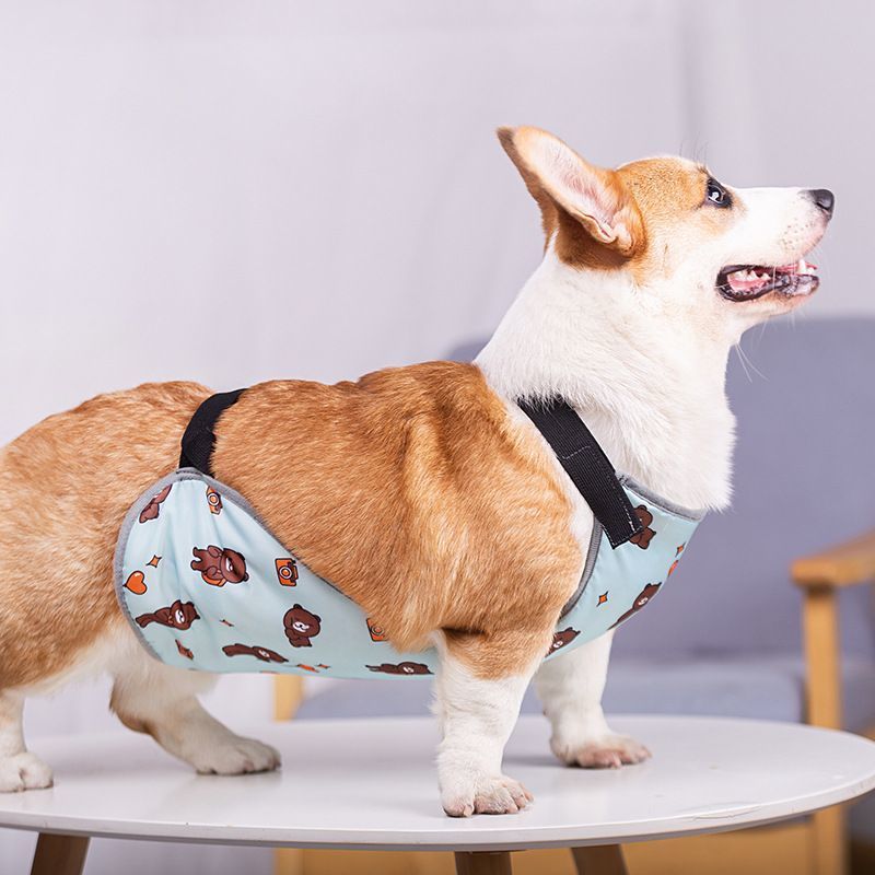 Waterproof dog belly wrap in pink or blue, product image 1