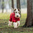 Waterproof four-leg dog raincoat with reflective strips in Dark Grey, front view