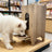 Wooden Pet Food Storage Feeder
